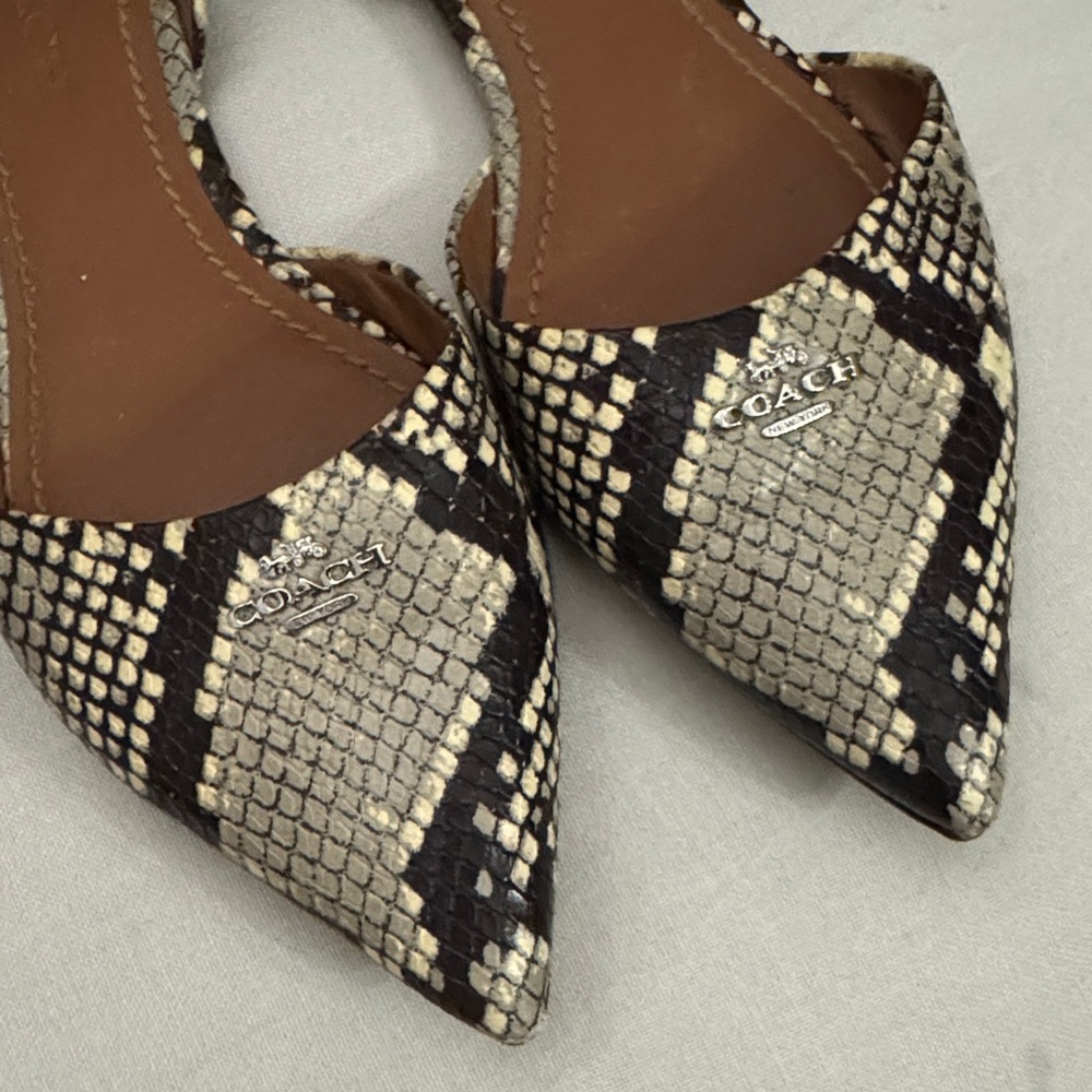Lovely Coach Snakeskin Flats🖤🤎🖤